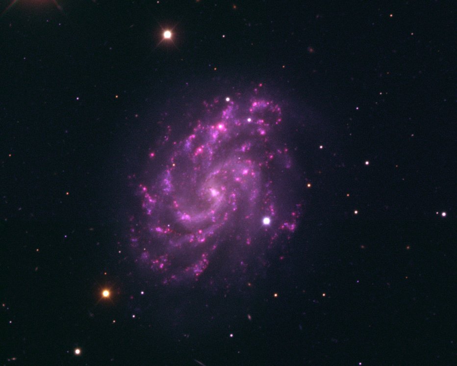 NGC5584 mit Supernova